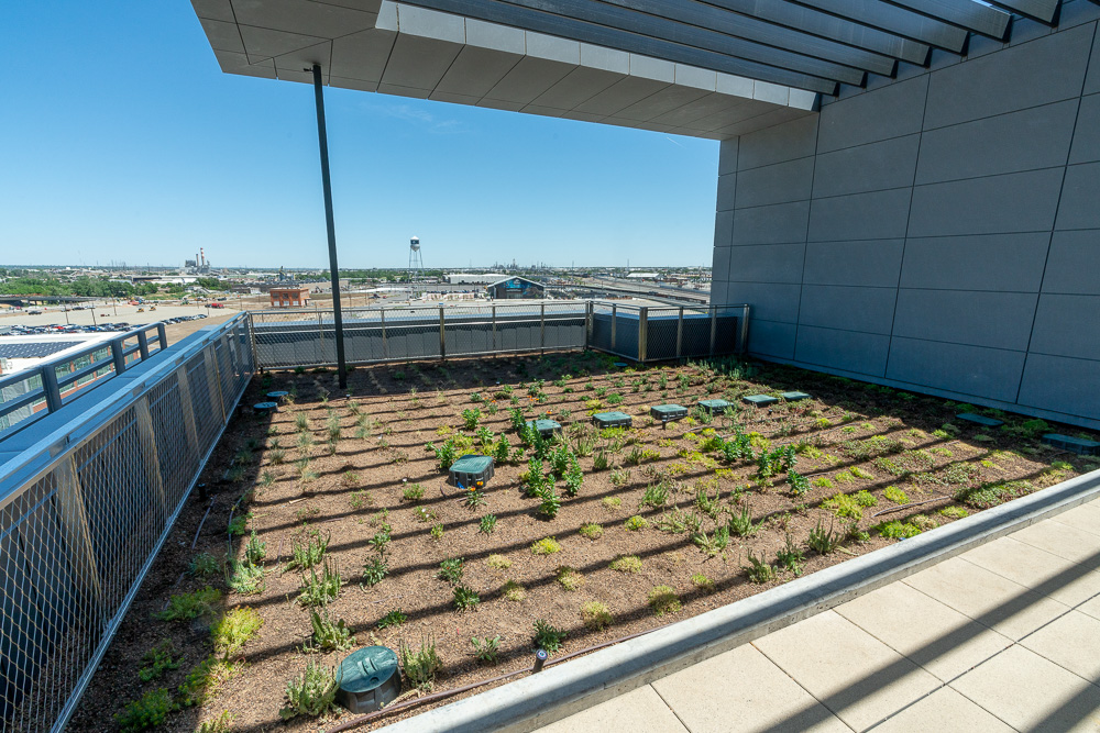 A rooftop garden at Terra