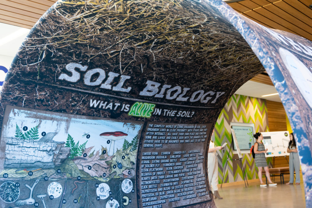 Inside a display detailing soil biology at Terra