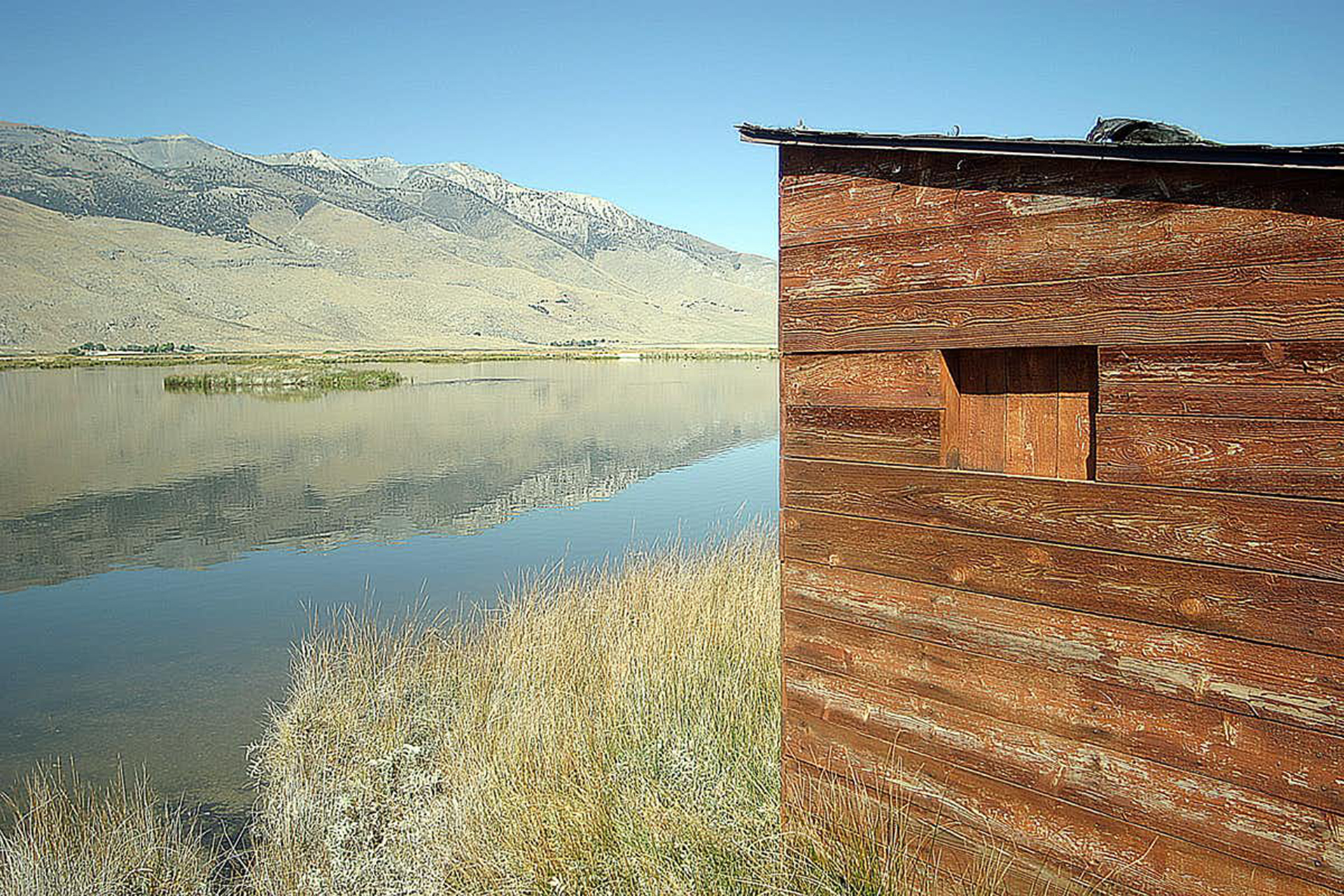 A wooden shed overlooks a wetland with mountains in the background.