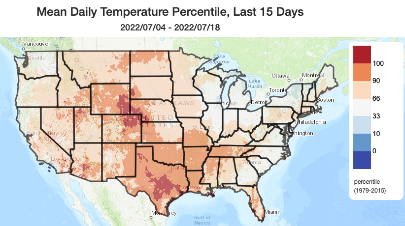 Daily temperature percentile in the U.S.