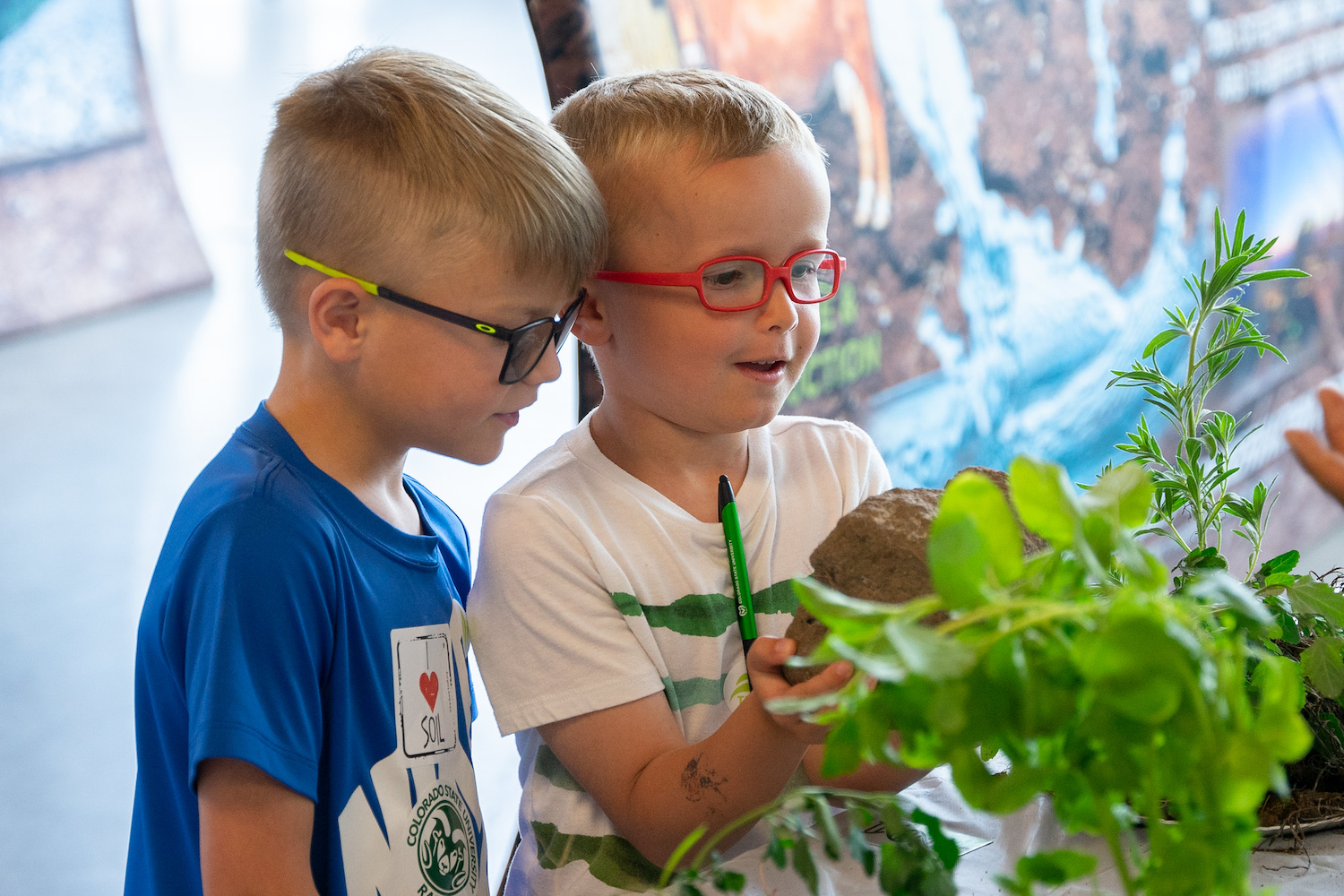 Two young boys hold a large green plant.