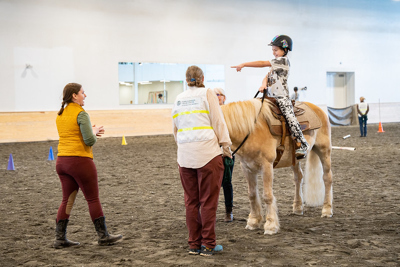 Equine assisted therapy