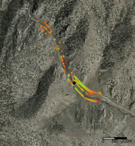 This aerial image illustrates the signal strength of a radio tag as received by the drone in flight. Green dots indicate a stronger signal, whereas orange dots indicate a weaker signal. The black dot indicates the actual location of the tagged bird.