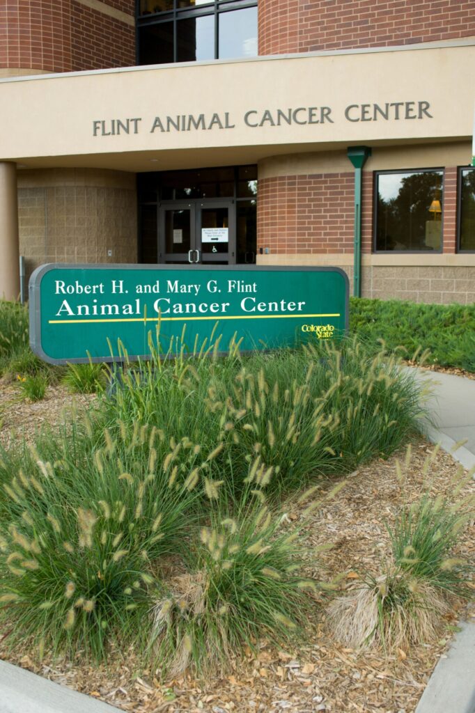 Flint Animal Center