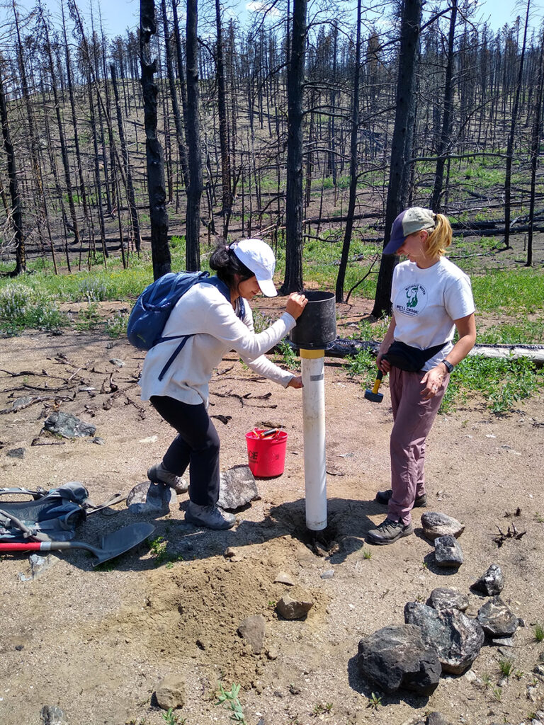 Two women position a piece of research equipment in the ground with charred trees behind them
