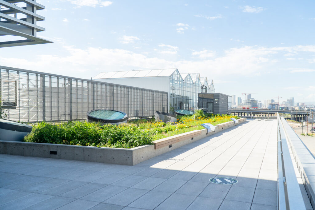Rooftop space with greenhouses and a planted garden with the Denver skyline in the background.
