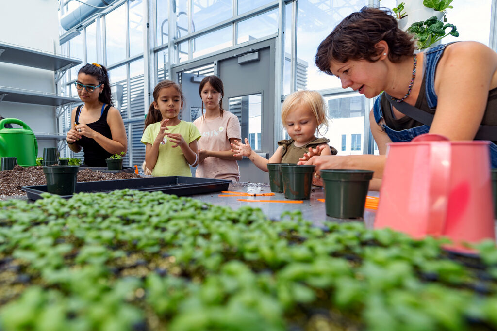 Children look at indoor-grown produce.