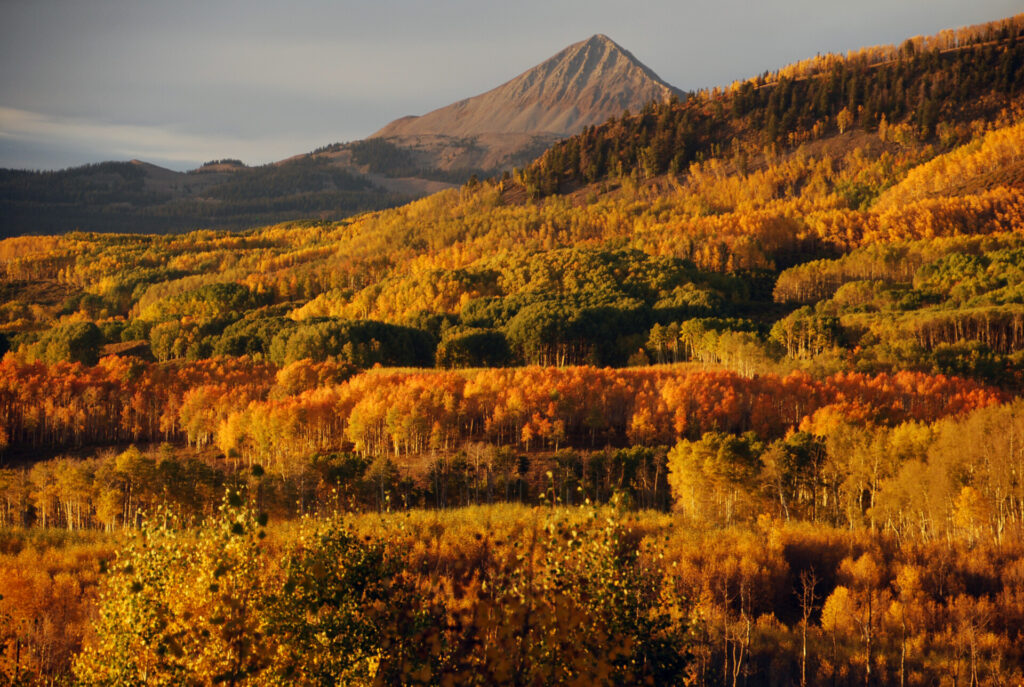 Fall colors putting on a show in southwestern Colorado