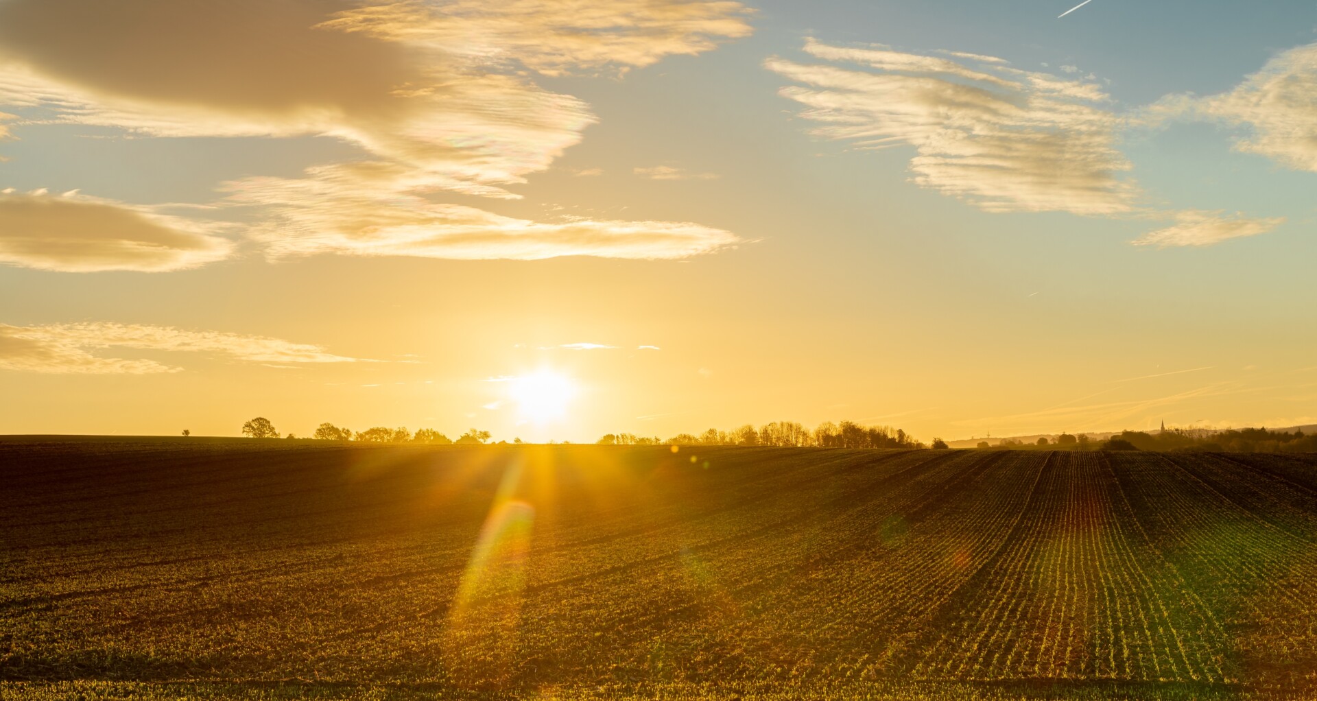 Sunrise over a field.