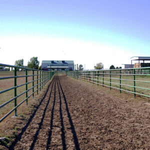 A muddy path between gates that cattle walk around the Agricultural, Research, Development and Education Center.