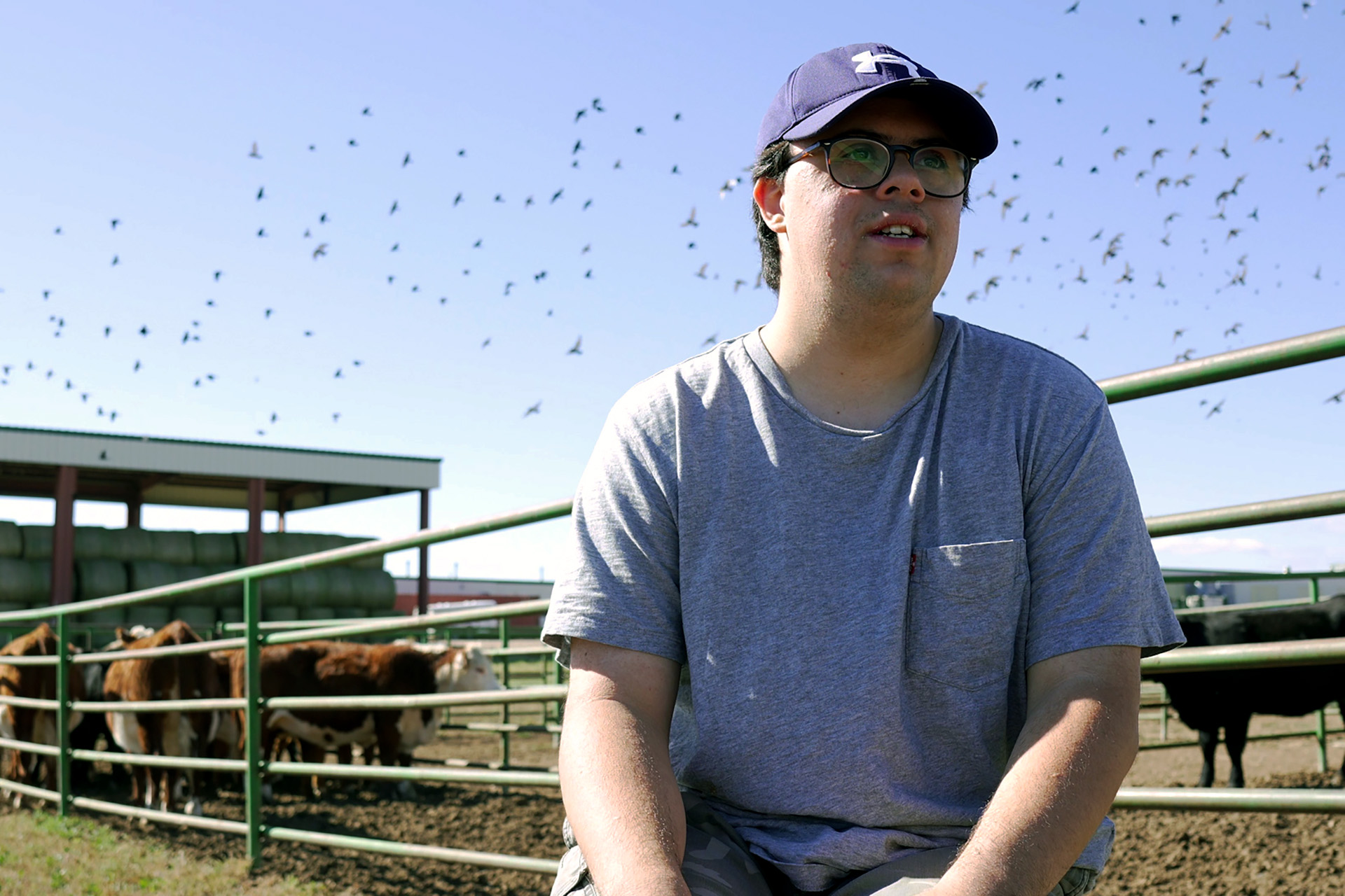 RAM Scholar Alec Robinson chats while birds fly and cows walk in a pen in the background at ARDEC.