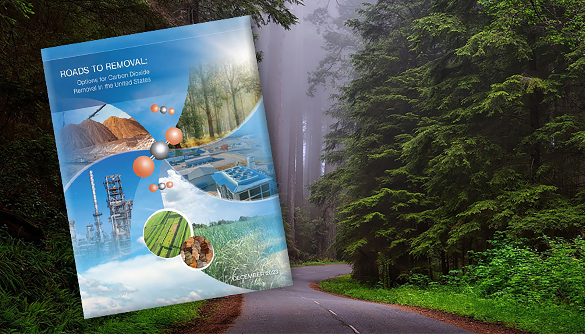 Two-lane blacktop through a forest with evergreen trees and an image of a report cover overlaid on top. The report cover says "Roads to Removal: Options for Carbon Dioxide Removal in the United States" and "December 2023."
