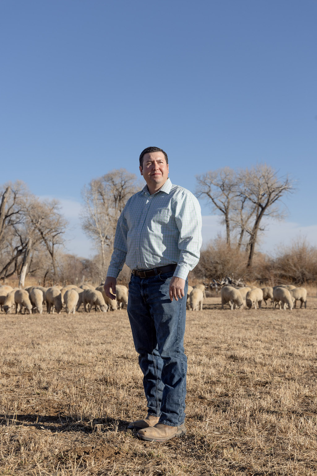 Man stands in a field with sheep in the background.