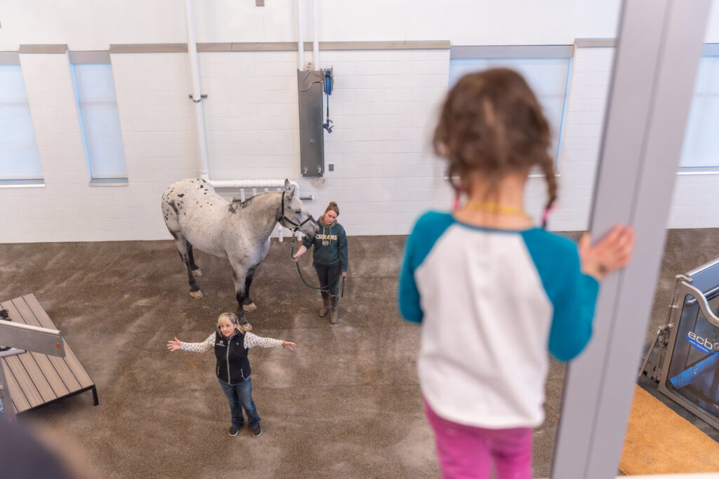 A child watches the horses receive physical therapy at CSU Spur