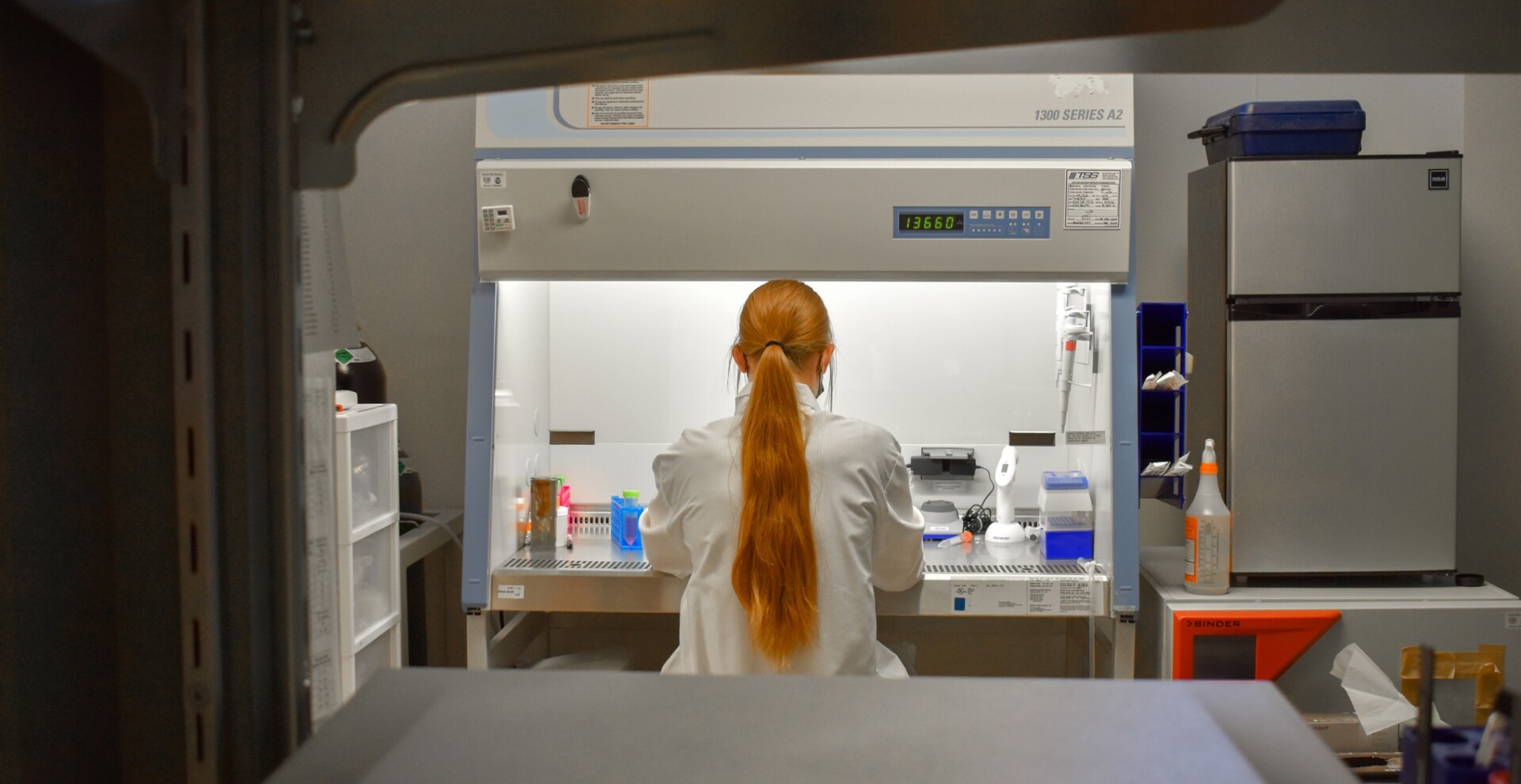 Ph.D. student Cali McEntee works in CSU's Healhspan Biology Lab.
