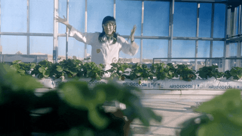 Wiz Kid dances with plants at CSU's Terra Building