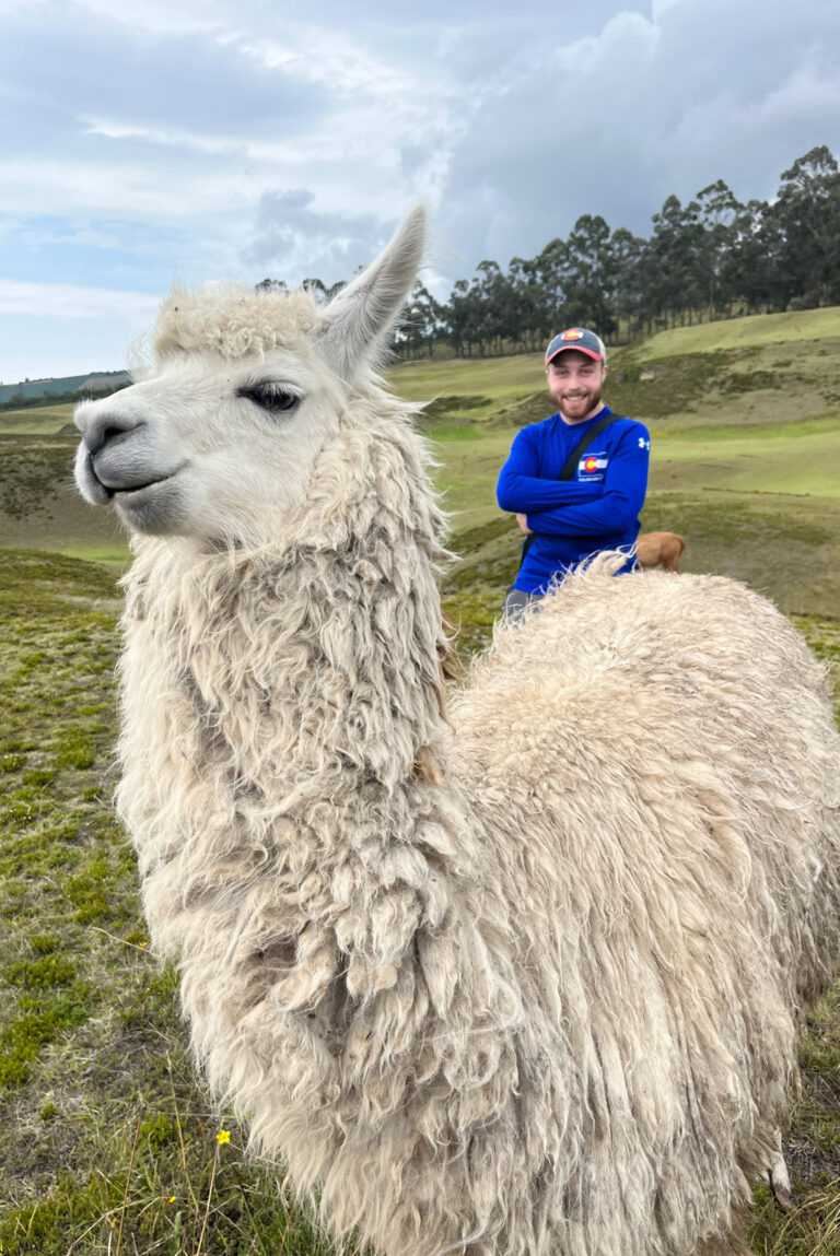 Luke Martin with a llama