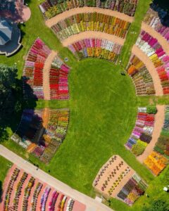 Aerial shot of CSU's Flower Trial Garden showing flowers in a semicircle with green grass in the middle.