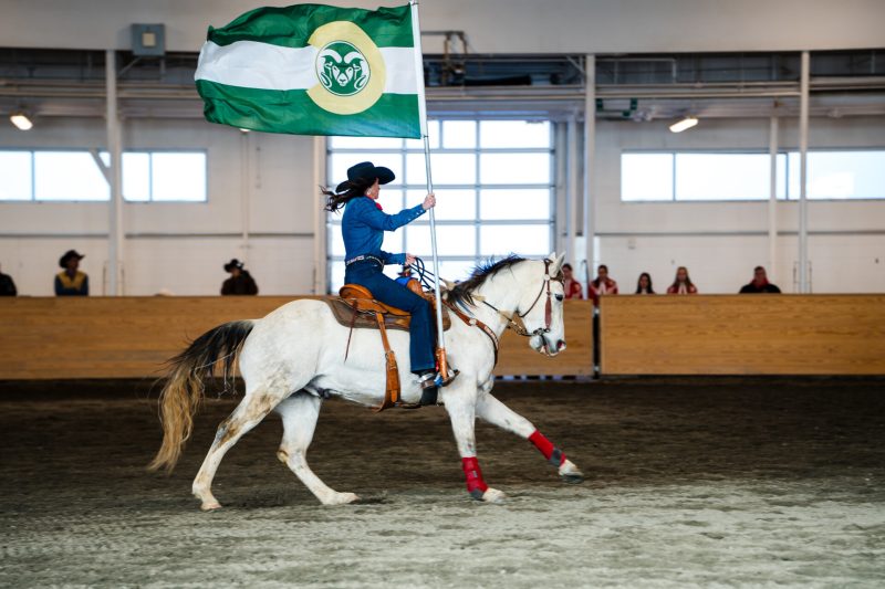 A rider shows off the CSU flag at the Exceptional Rodeo